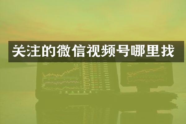 关注的微信视频号哪里找