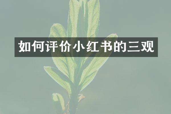 如何评价小红书的三观