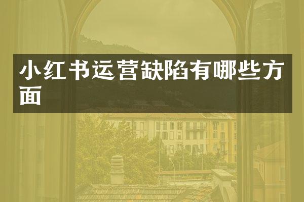 小红书运营缺陷有哪些方面