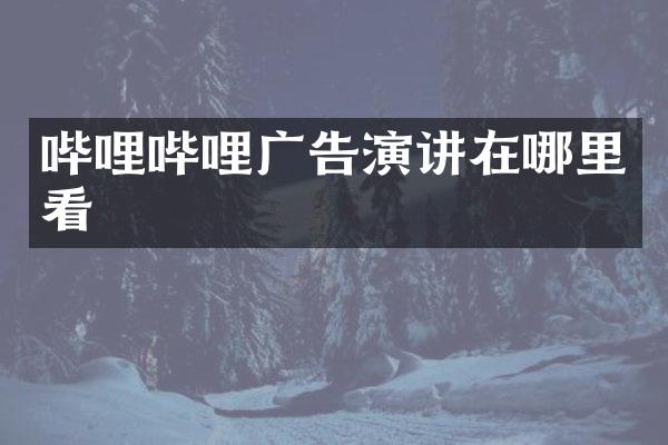 哔哩哔哩广告演讲在哪里看
