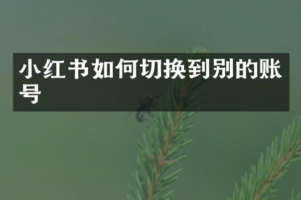 小红书如何切换到别的账号
