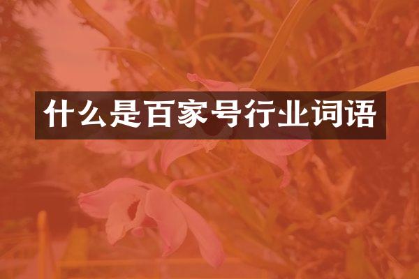 什么是百家号行业词语