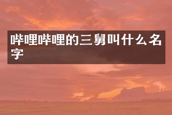 哔哩哔哩的三舅叫什么名字