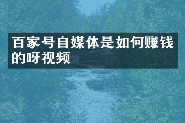 百家号自媒体是如何赚钱的呀视频