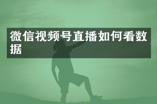 微信视频号直播如何看数据