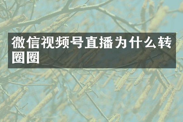 微信视频号直播为什么转圈圈