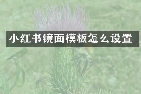 小红书镜面模板怎么设置