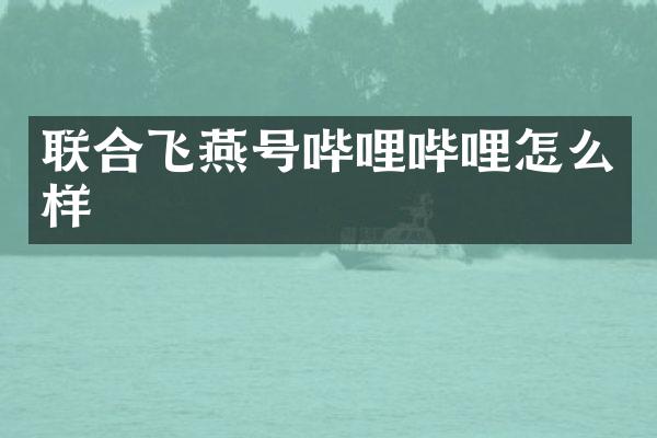 联合飞燕号哔哩哔哩怎么样