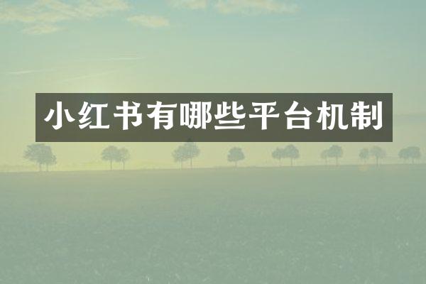 小红书有哪些平台机制