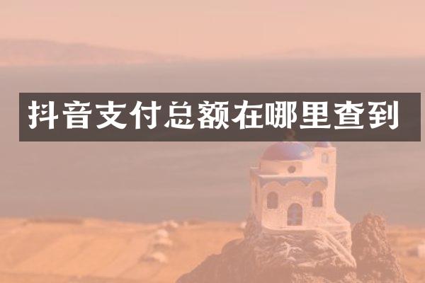 抖音支付总额在哪里查到