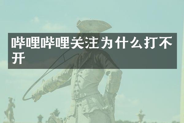 哔哩哔哩关注为什么打不开
