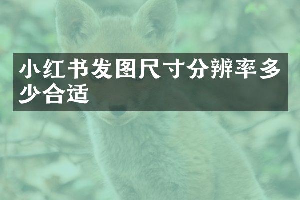 小红书发图尺寸分辨率多少合适