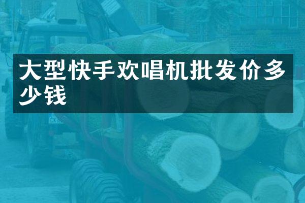 大型快手欢唱机批发价多少钱