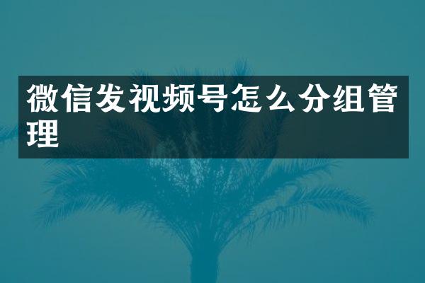 微信发视频号怎么分组管理