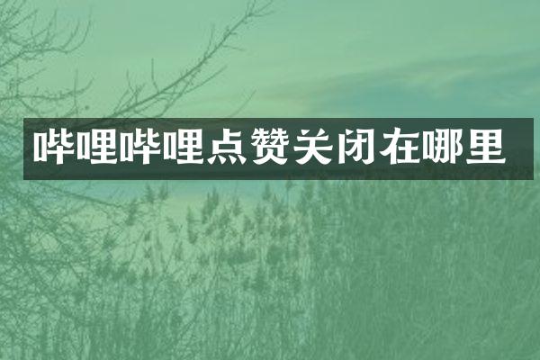 哔哩哔哩点赞关闭在哪里
