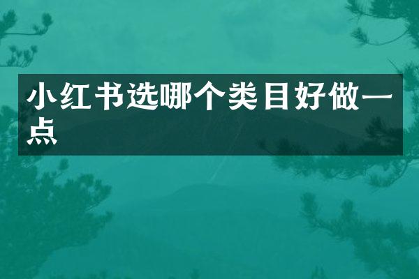 小红书选哪个类目好做一点