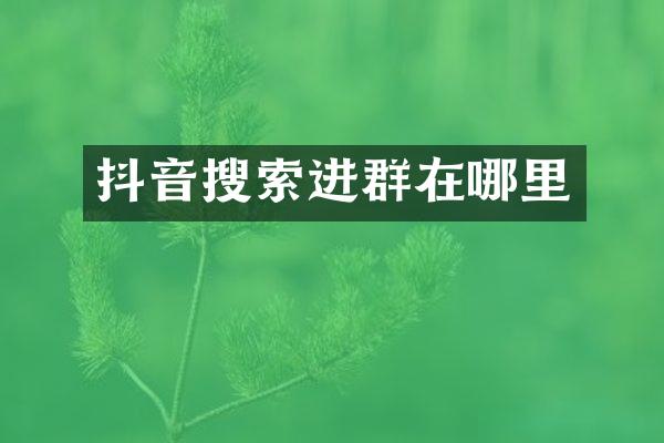 抖音搜索进群在哪里