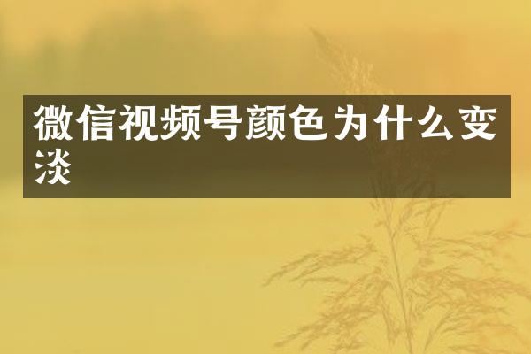 微信视频号颜色为什么变淡
