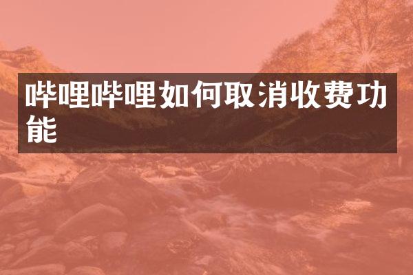 哔哩哔哩如何取消收费功能