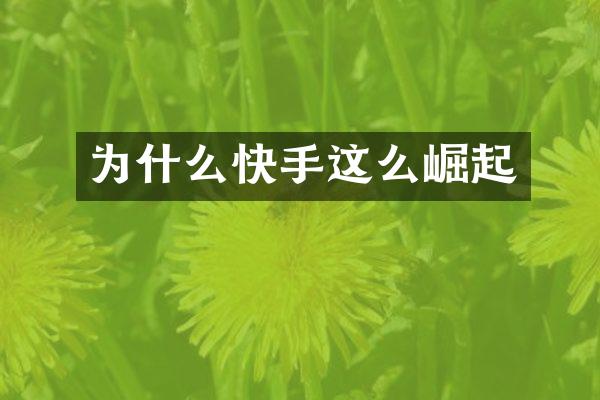 为什么快手这么崛起