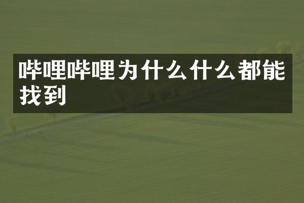 哔哩哔哩为什么什么都能找到