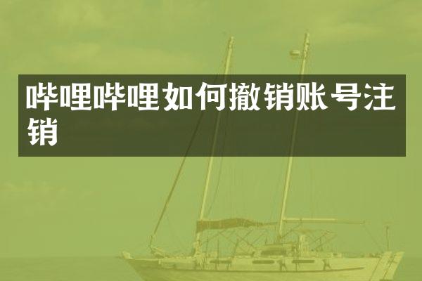 哔哩哔哩如何撤销账号注销