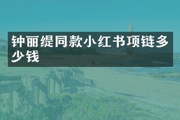钟丽缇同款小红书项链多少钱