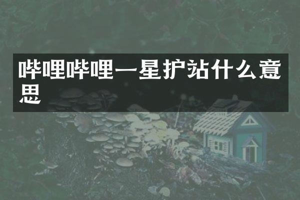 哔哩哔哩一星护站什么意思