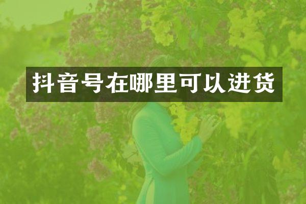 抖音号在哪里可以进货