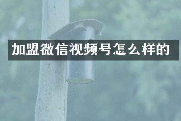 加盟微信视频号怎么样的