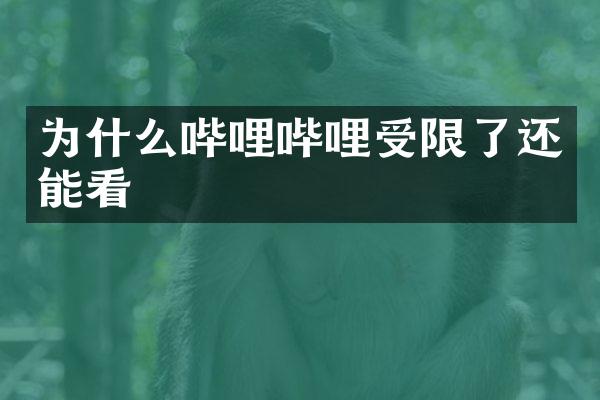 为什么哔哩哔哩受限了还能看