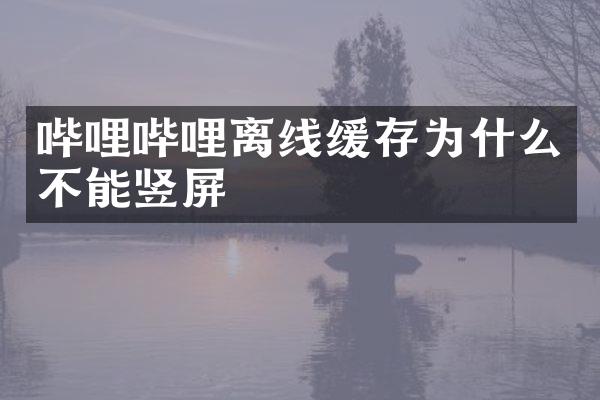 哔哩哔哩离线缓存为什么不能竖屏