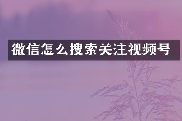 微信怎么搜索关注视频号