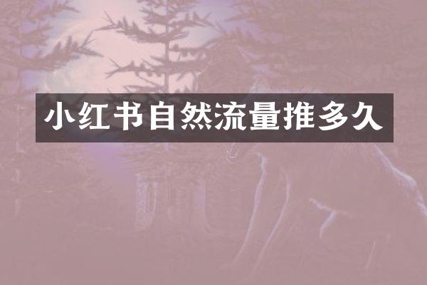 小红书自然流量推多久