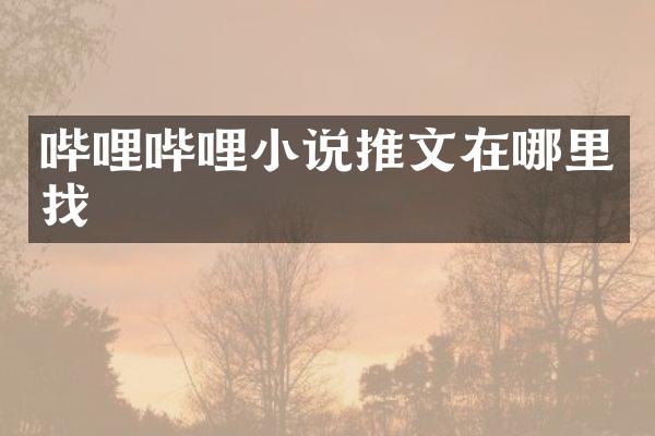 哔哩哔哩小说推文在哪里找