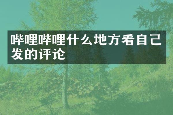 哔哩哔哩什么地方看自己发的评论