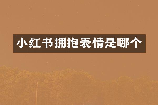 小红书拥抱表情是哪个