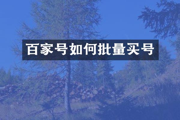 百家号如何批量买号
