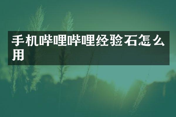 手机哔哩哔哩经验石怎么用