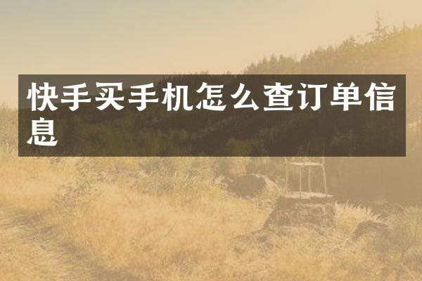 快手买手机怎么查订单信息