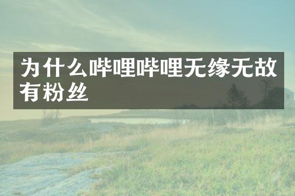 为什么哔哩哔哩无缘无故有粉丝