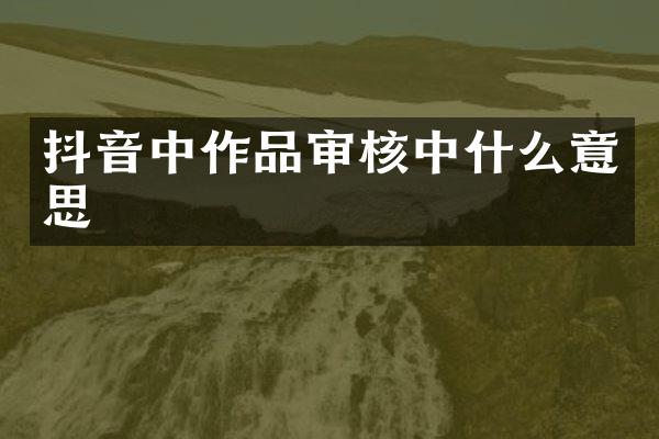 抖音中作品审核中什么意思