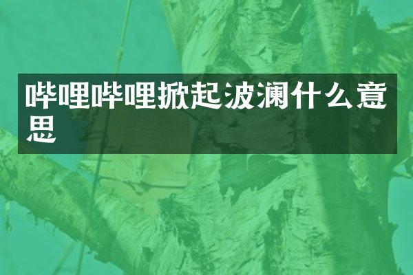 哔哩哔哩掀起波澜什么意思