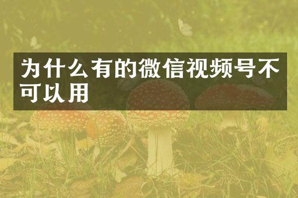 为什么有的微信视频号不可以用