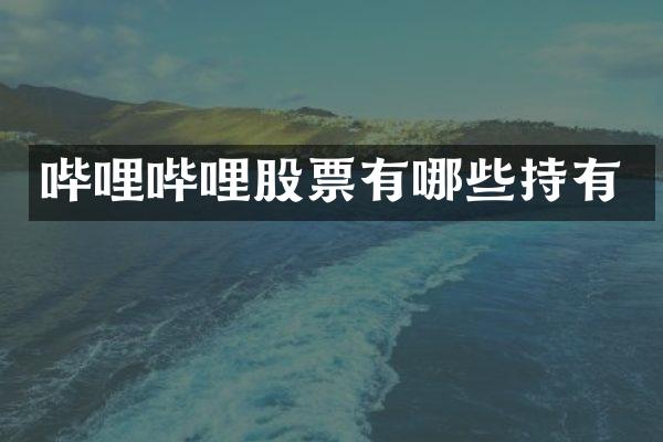 哔哩哔哩股票有哪些持有