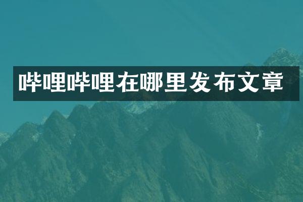 哔哩哔哩在哪里发布文章