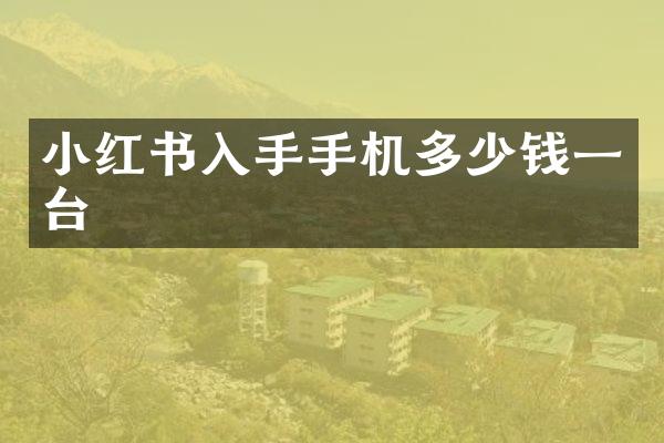 小红书入手手机多少钱一台
