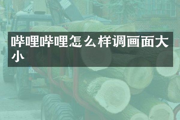 哔哩哔哩怎么样调画面大小