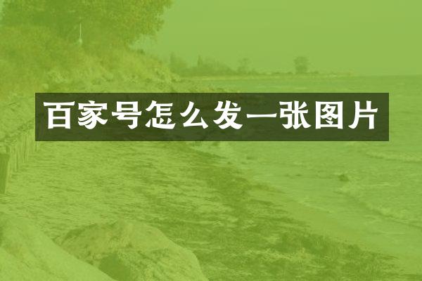 百家号怎么发一张图片