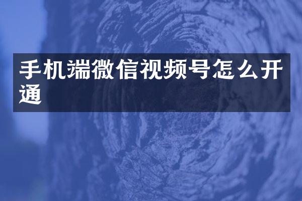 手机端微信视频号怎么开通
